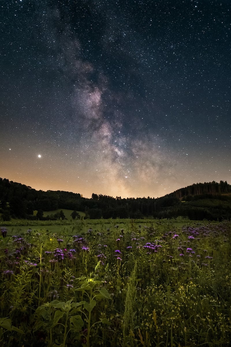 Galactic Decor